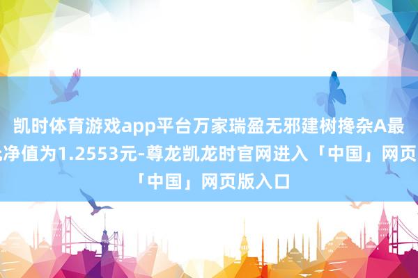 凯时体育游戏app平台万家瑞盈无邪建树搀杂A最新单元净值为1.2553元-尊龙凯龙时官网进入「中国」网页版入口