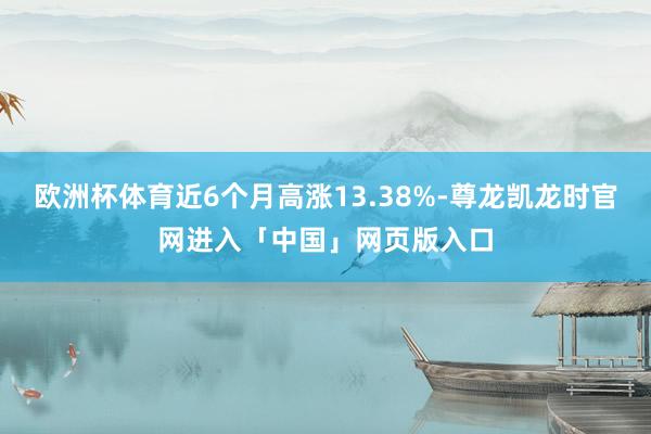 欧洲杯体育近6个月高涨13.38%-尊龙凯龙时官网进入「中国」网页版入口