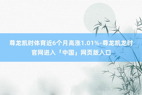 尊龙凯时体育近6个月高涨1.01%-尊龙凯龙时官网进入「中国」网页版入口