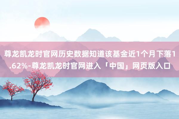 尊龙凯龙时官网历史数据知道该基金近1个月下落1.62%-尊龙凯龙时官网进入「中国」网页版入口