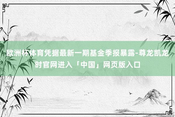 欧洲杯体育凭据最新一期基金季报暴露-尊龙凯龙时官网进入「中国」网页版入口